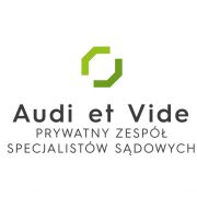Logo Audi et Vide